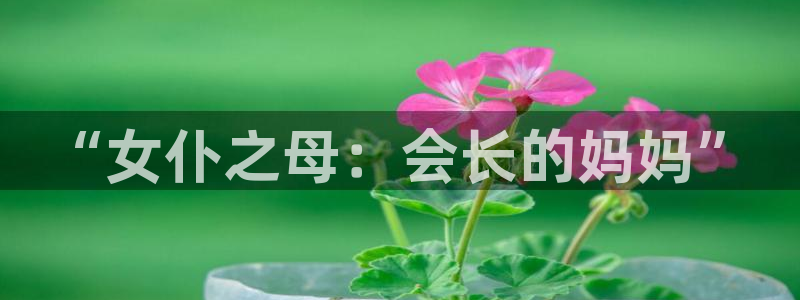香蕉文化漫画书阅读下拉式有限人囗：“女仆之母：会长的妈妈”