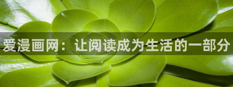 香蕉文化漫画书免费阅：爱漫画网：让阅读成为生活的一部分