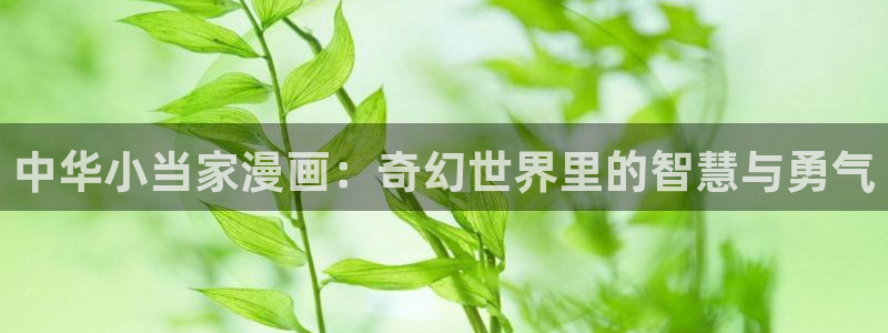 香蕉漫画 在线观看：中华小当家漫画：奇幻世界里的智慧与勇气