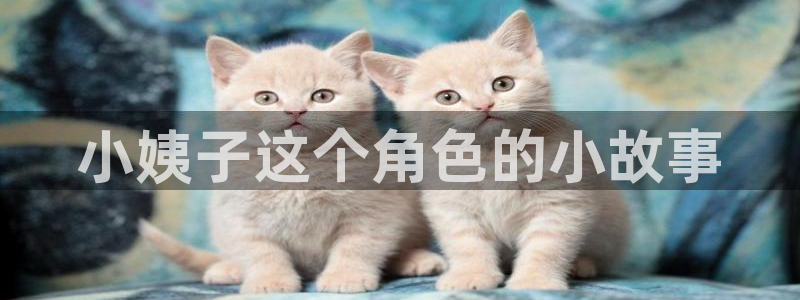 香蕉文化免费看全部漫画：小姨子这个角色的小故事