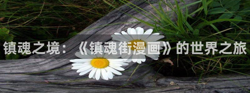 香蕉漫画漫画书下拉式：镇魂之境：《镇魂街漫画》的世界之旅