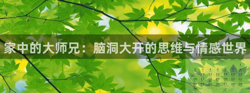 香蕉漫画在线观看入口免费：家中的大师兄：脑洞大开的思维与情感世界