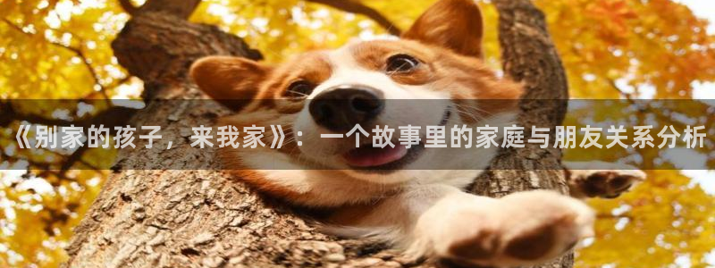 香蕉漫画免费观看